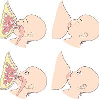 Správné a nesprávné přikládání dítěte k prsu